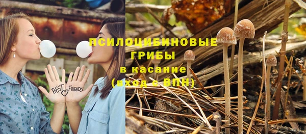 спайс Алзамай