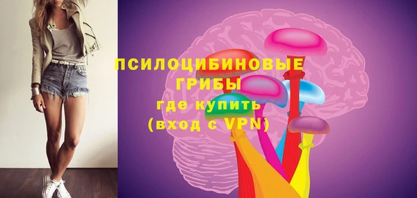 сатива Алексеевка