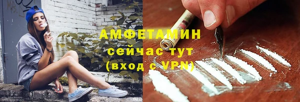 сатива Алексеевка