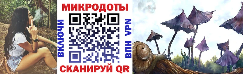 Псилоцибиновые грибы GOLDEN TEACHER  цена наркотик  Электрогорск 